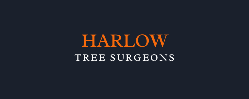Harlow Tree Surgeons
